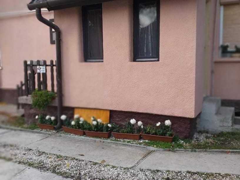 Pihenes A Malomtonal Privat Berlemeny Guest House Tapolca Eksteriør bilde